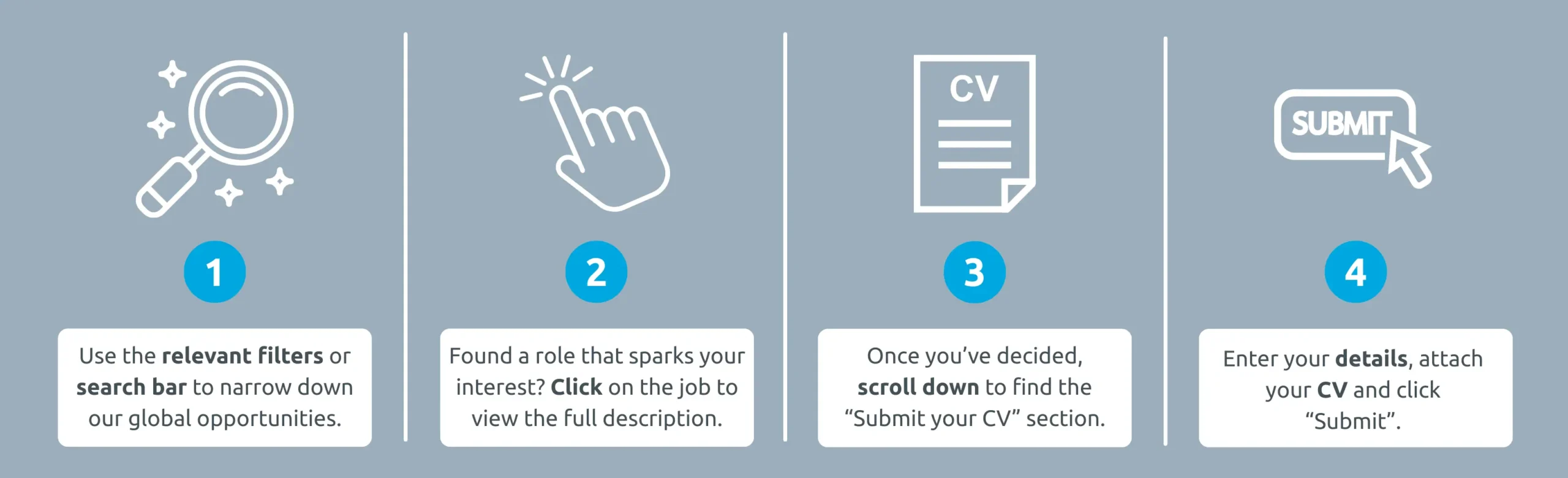 Job Search Infographic