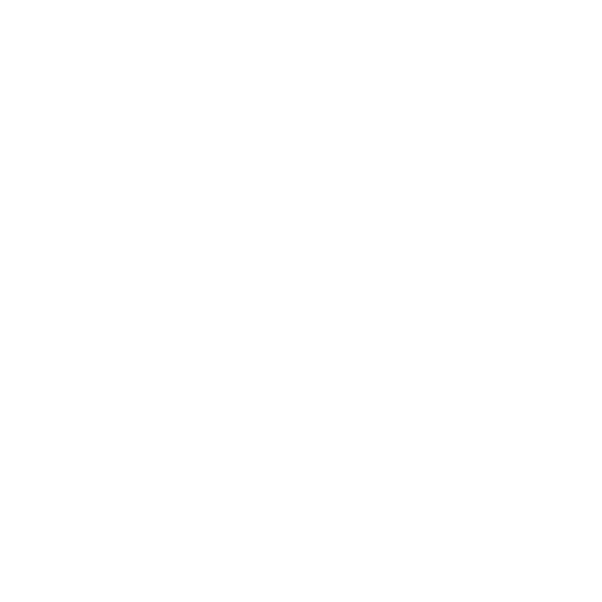 security-icon