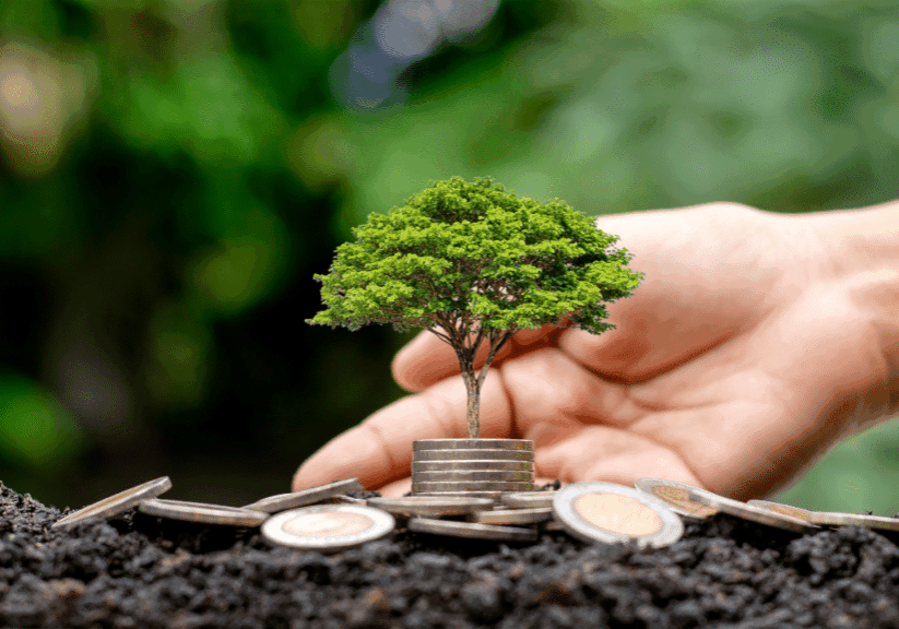 Policy and investment trends shaping the future of renewable energy